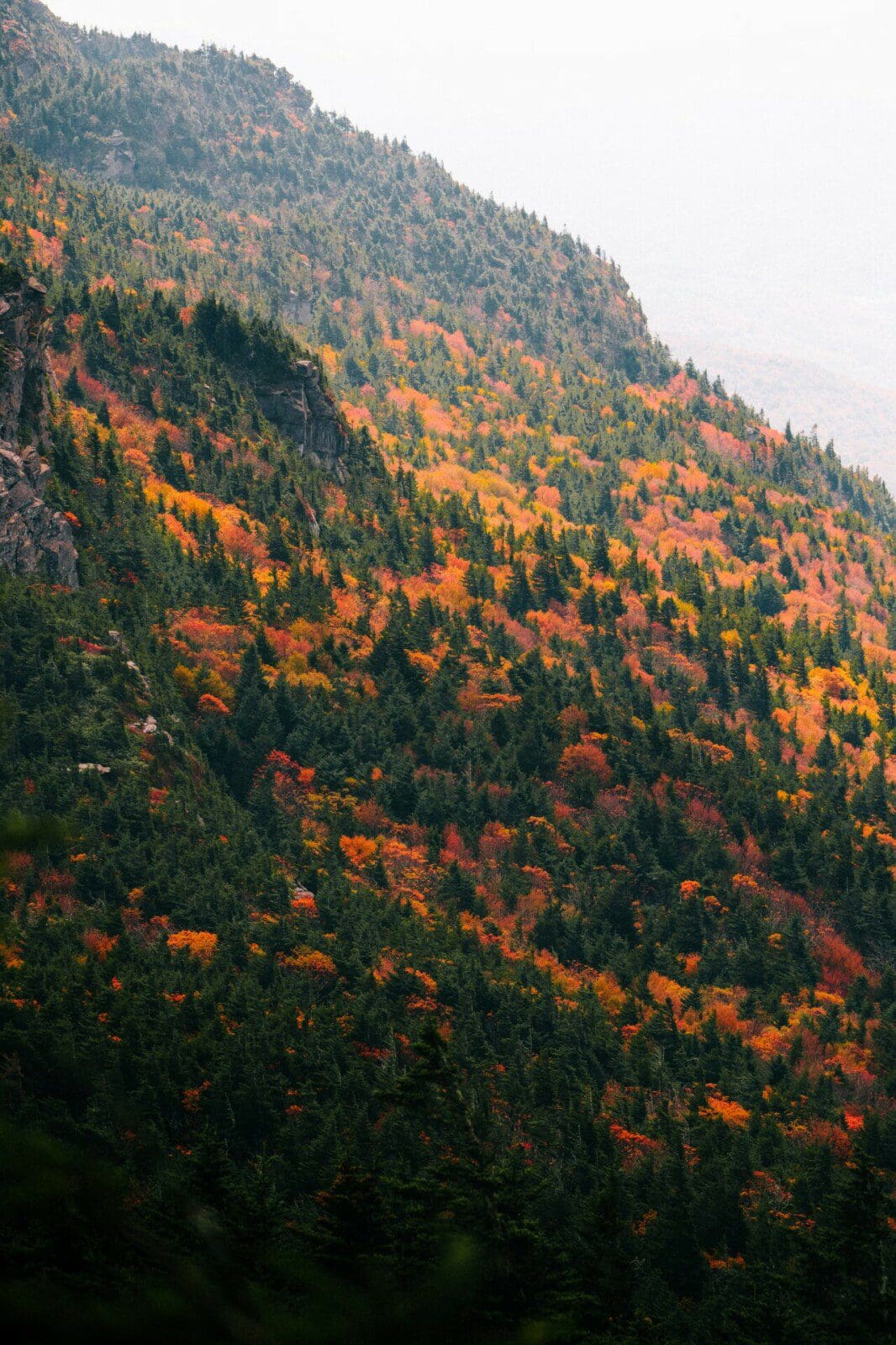 grandfather mountain