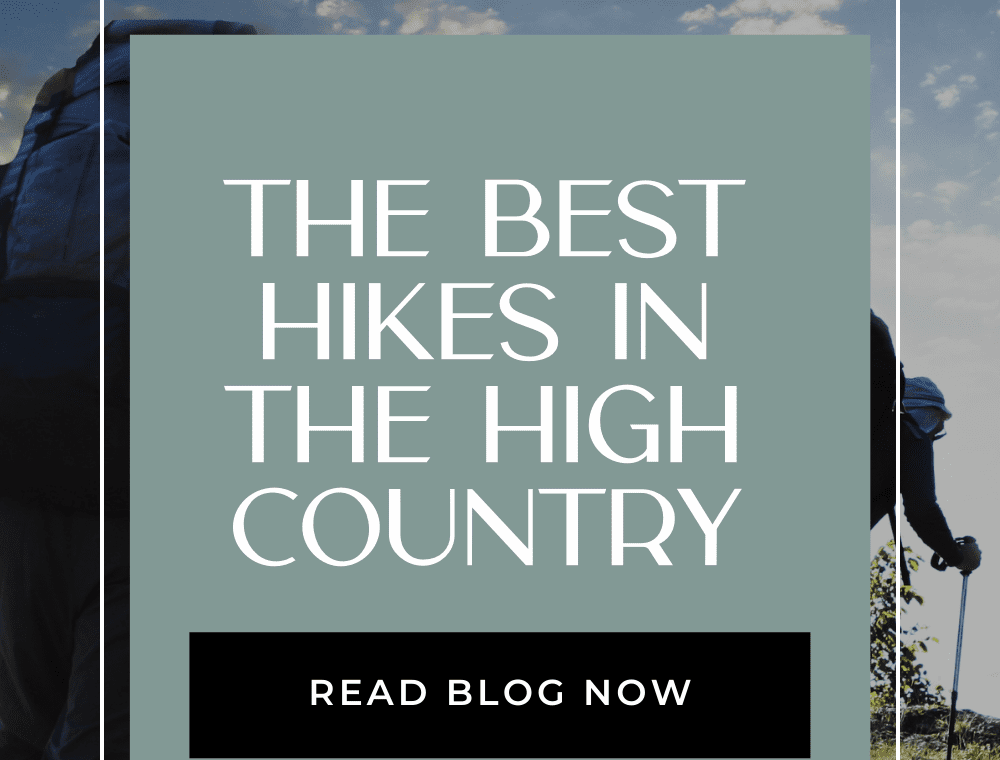 Wild+Cabins+Unlimited+Blog+Pin+Images